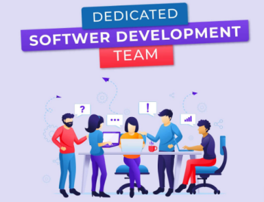 01 Dedicated Software Development Team